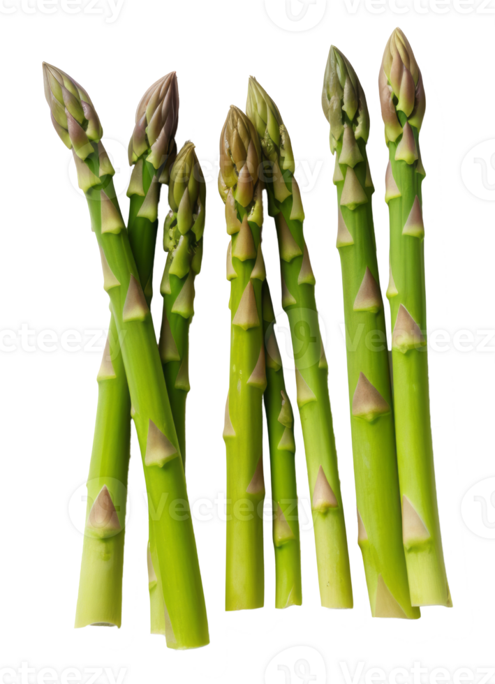 asparagus isolated on transparent background png