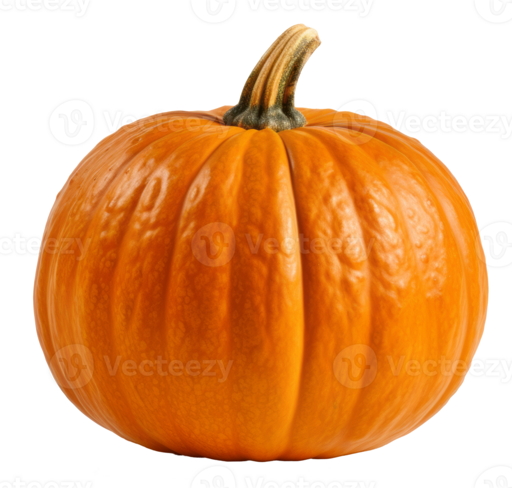 pumpkin isolated on transparent background png