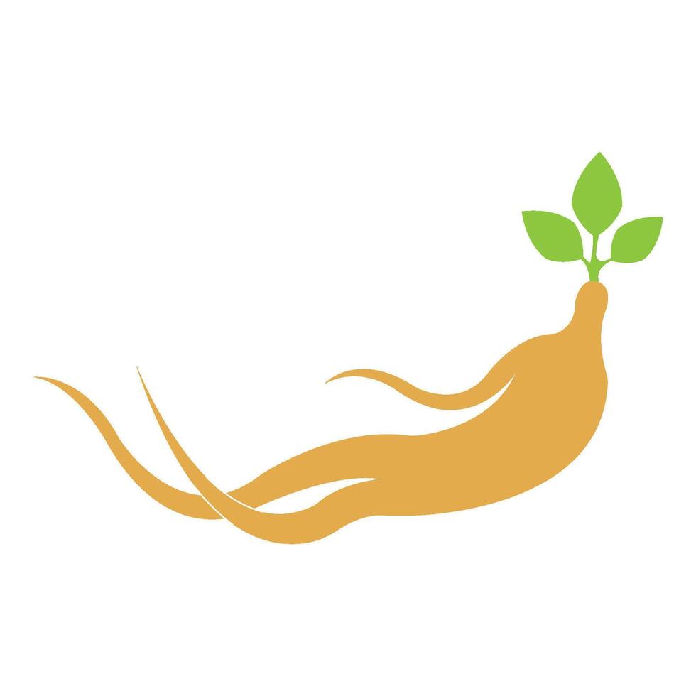 ginseng icon illustration design template vector