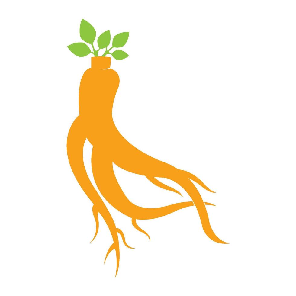 ginseng icon illustration design template vector