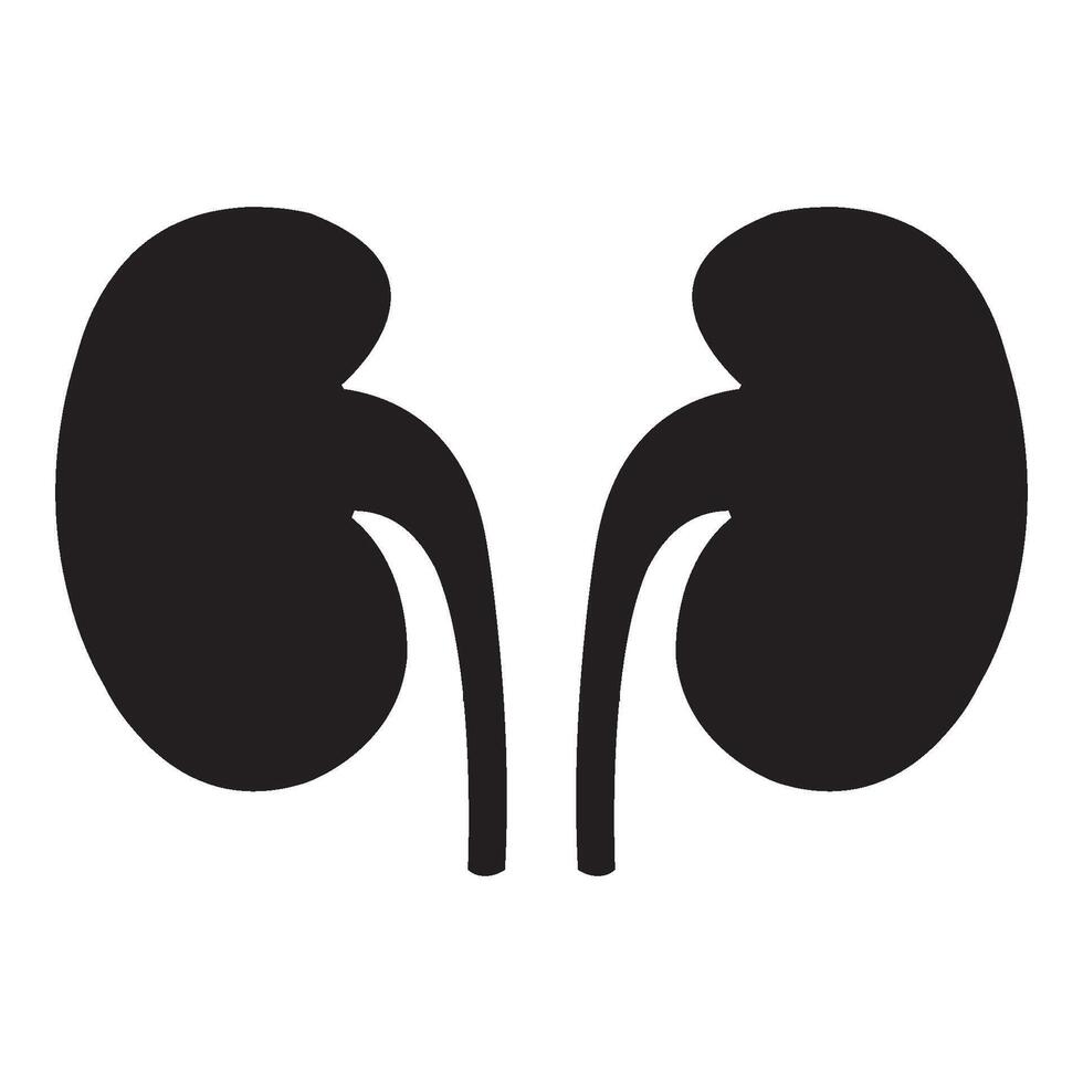 kidney icon illustration design template vector