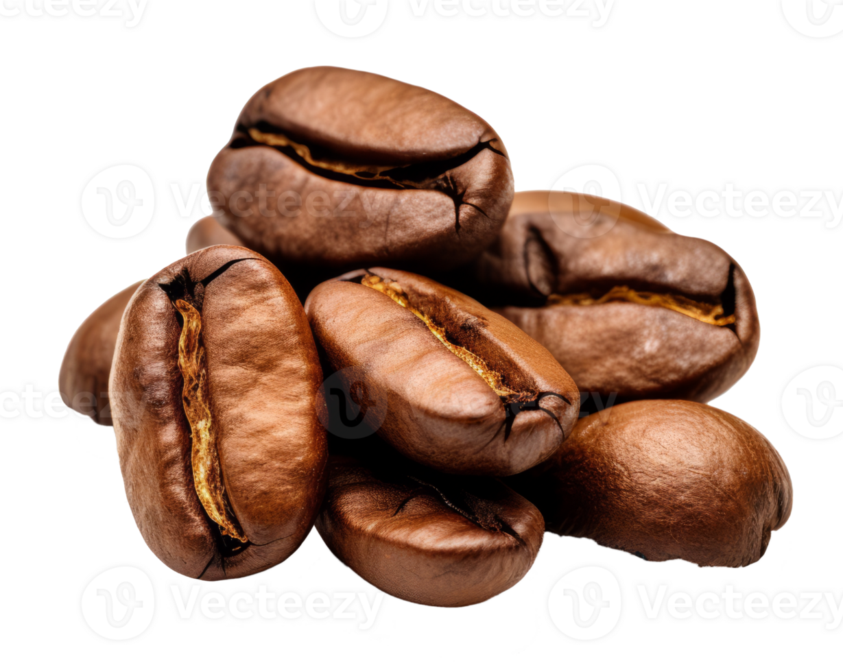 coffee bean isolated on transparent background png