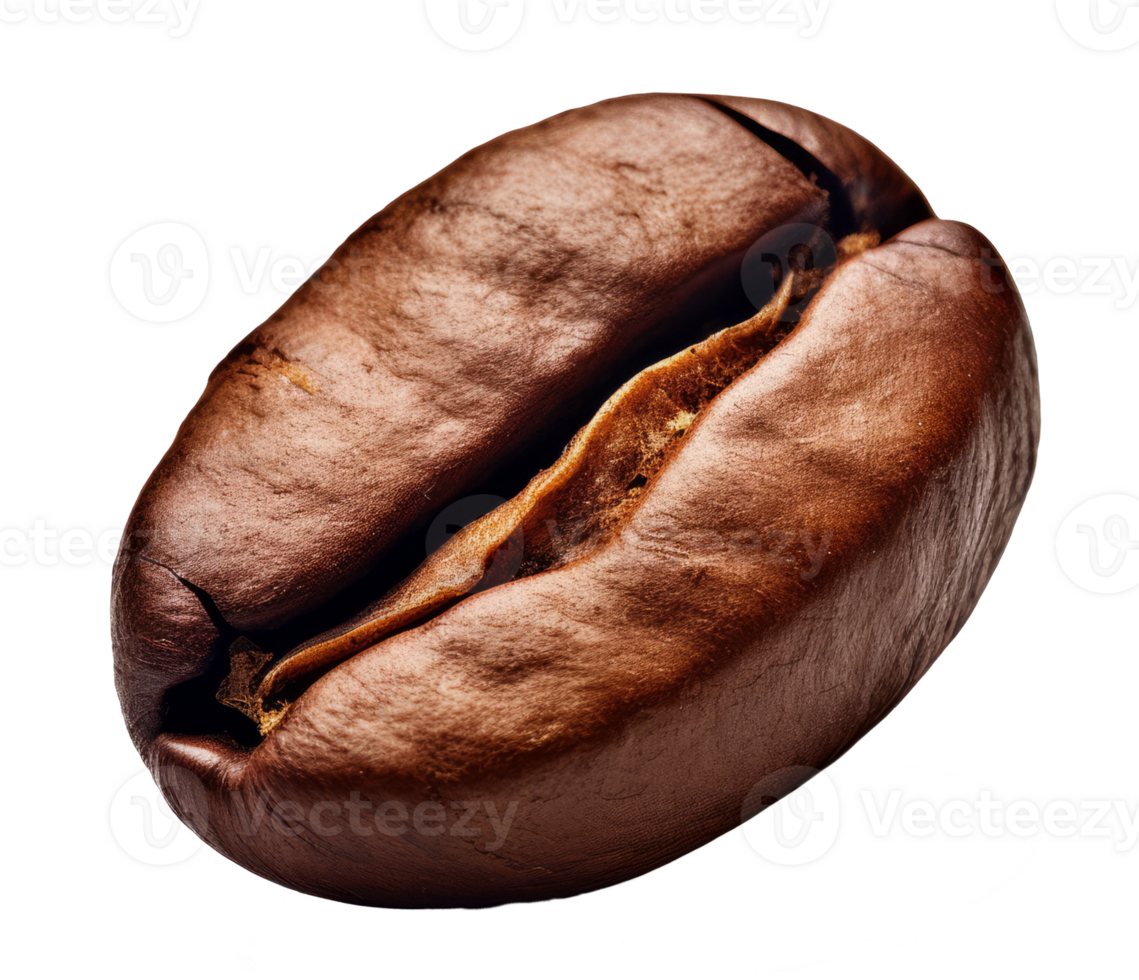 coffee bean isolated on transparent background png