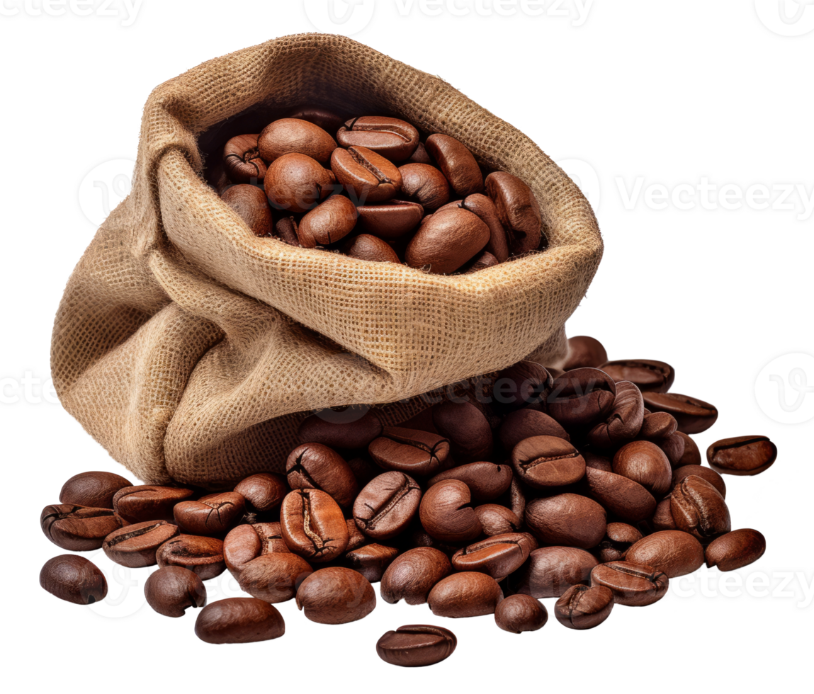 coffee bean isolated on transparent background png