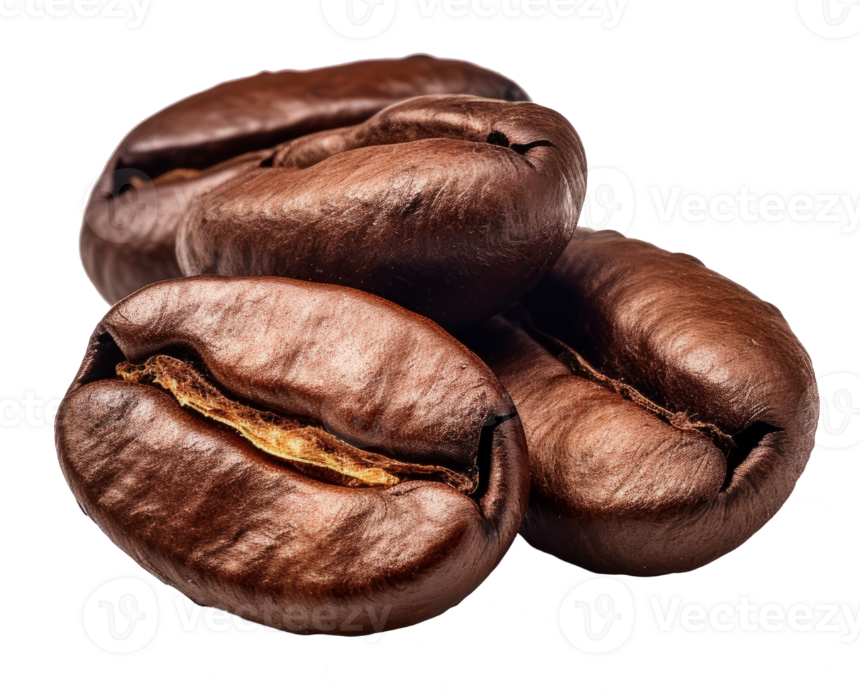 coffee bean isolated on transparent background png