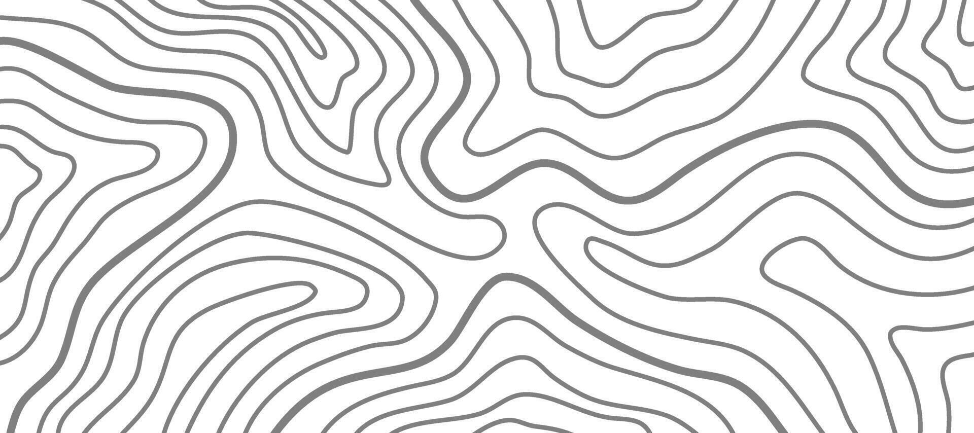 topographic contour background. abstract wavy background. contour background. modern Topographic map wallpaper. topographic background. vector