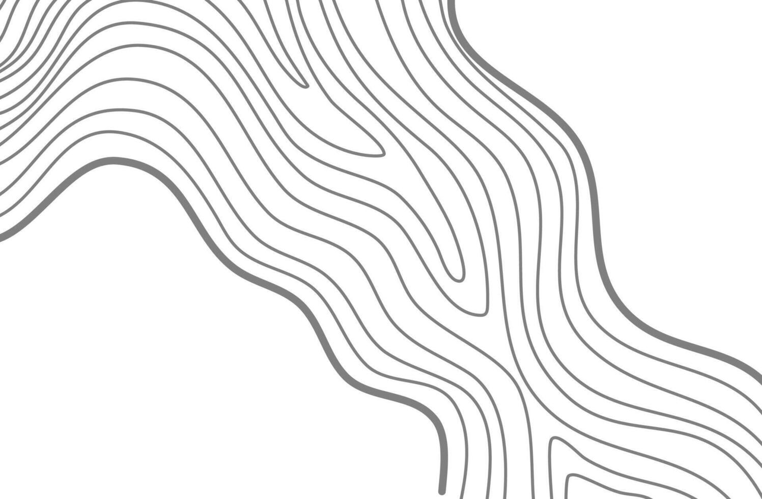 Wavy Contour background. Topographic contour background. contour lines background. Topographic map background. Abstract wavy background. vector