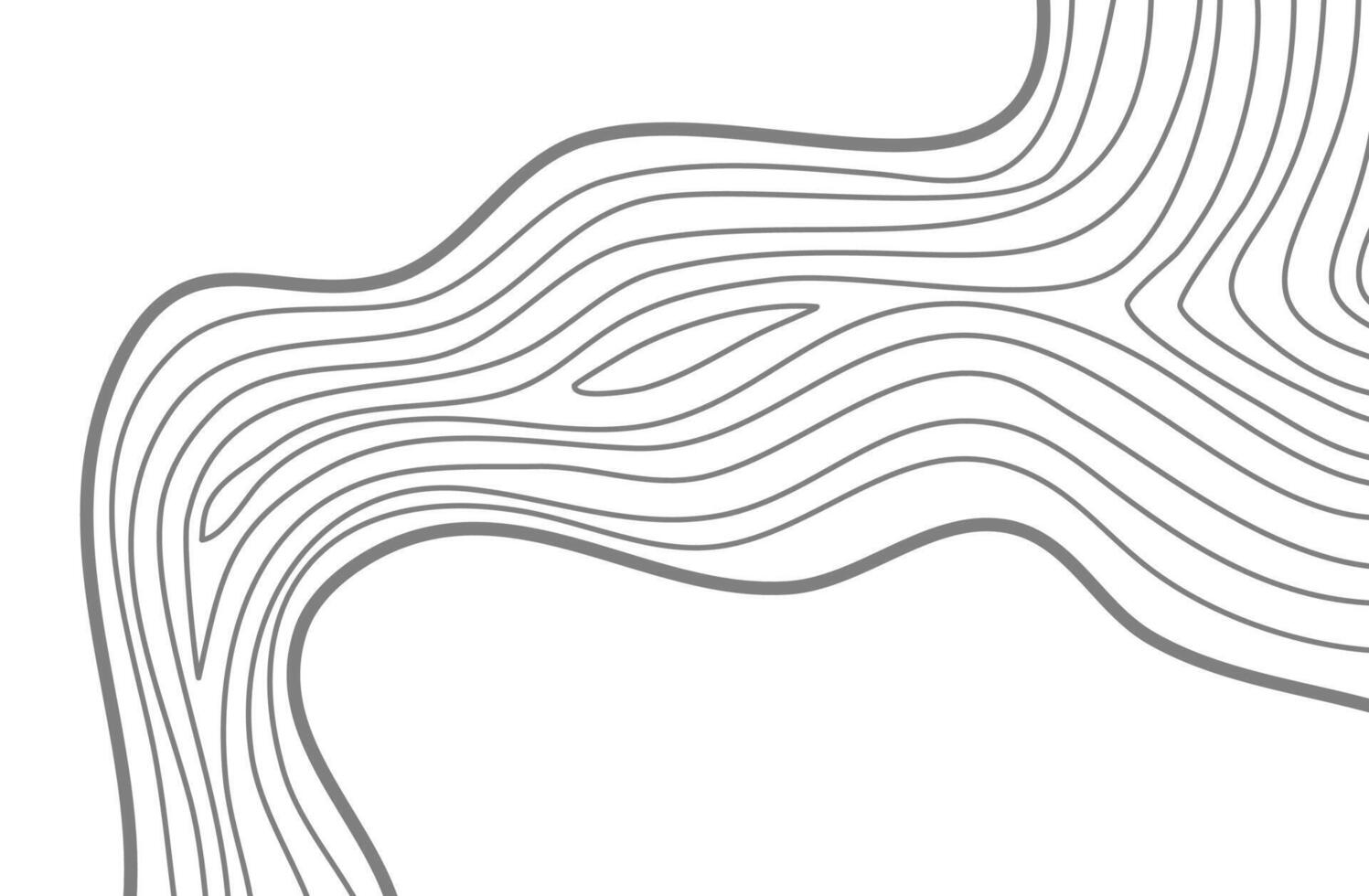 Wavy Contour background. Topographic contour background. contour lines background. Topographic map background. Abstract wavy background. vector