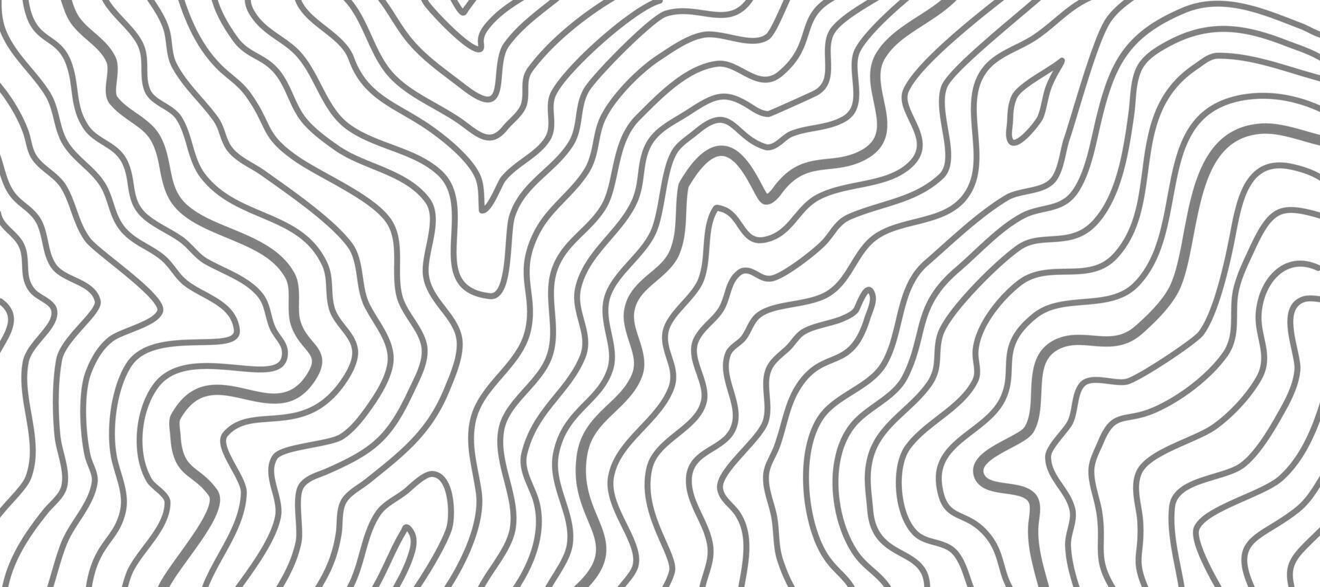 topographic contour background. abstract wavy background. contour background. modern Topographic map wallpaper. topographic background. vector