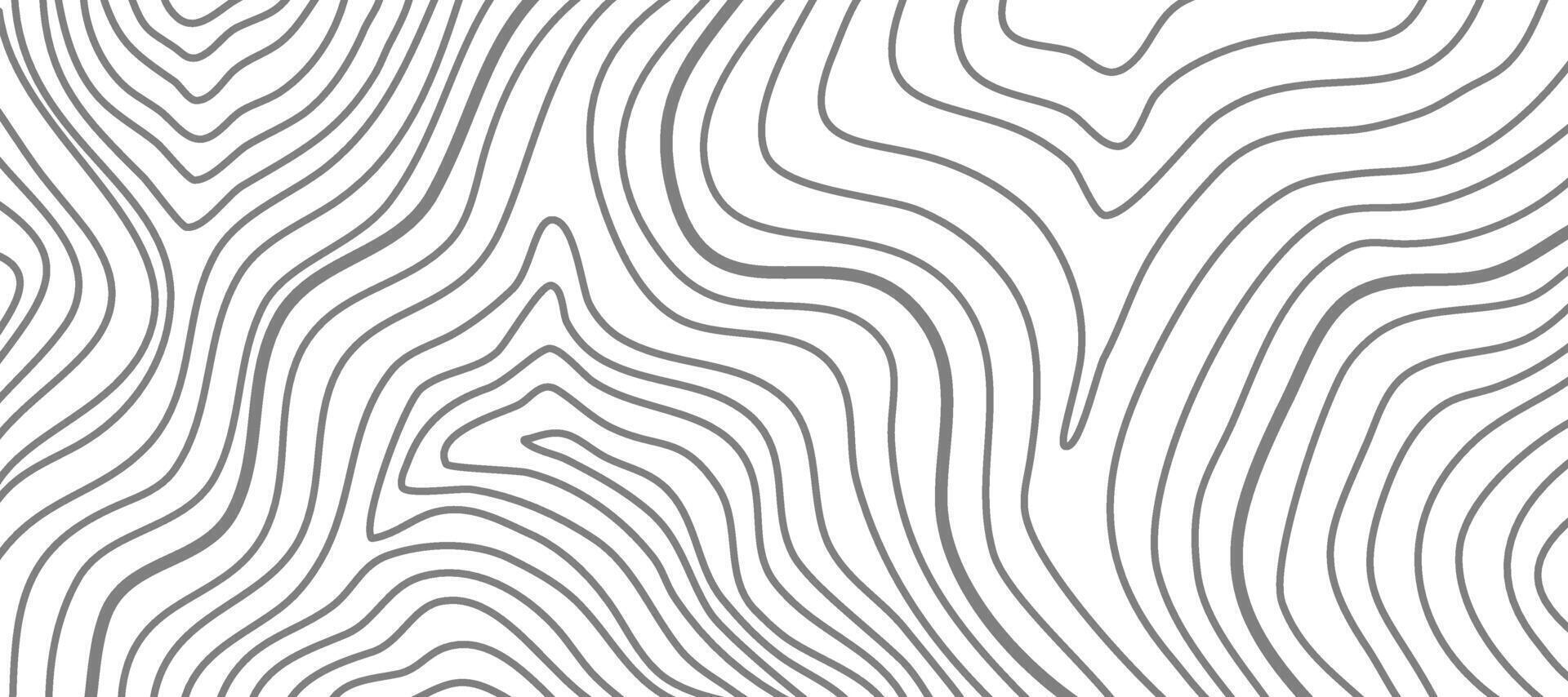 topographic contour background. abstract wavy background. contour background. modern Topographic map wallpaper. topographic background. vector