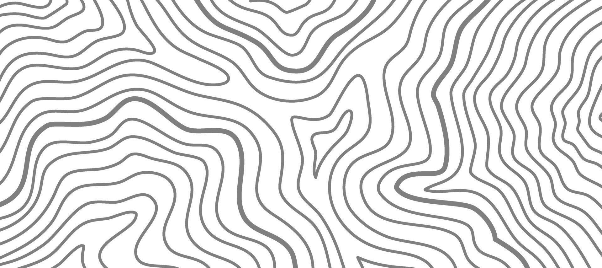 topographic contour background. abstract wavy background. contour background. modern Topographic map wallpaper. topographic background. vector