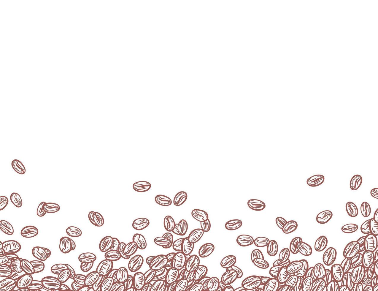 Coffee Beans background. Coffee beans in frame, border. Coffee beans isolated on a white background. Coffee beans wallpaper. vector