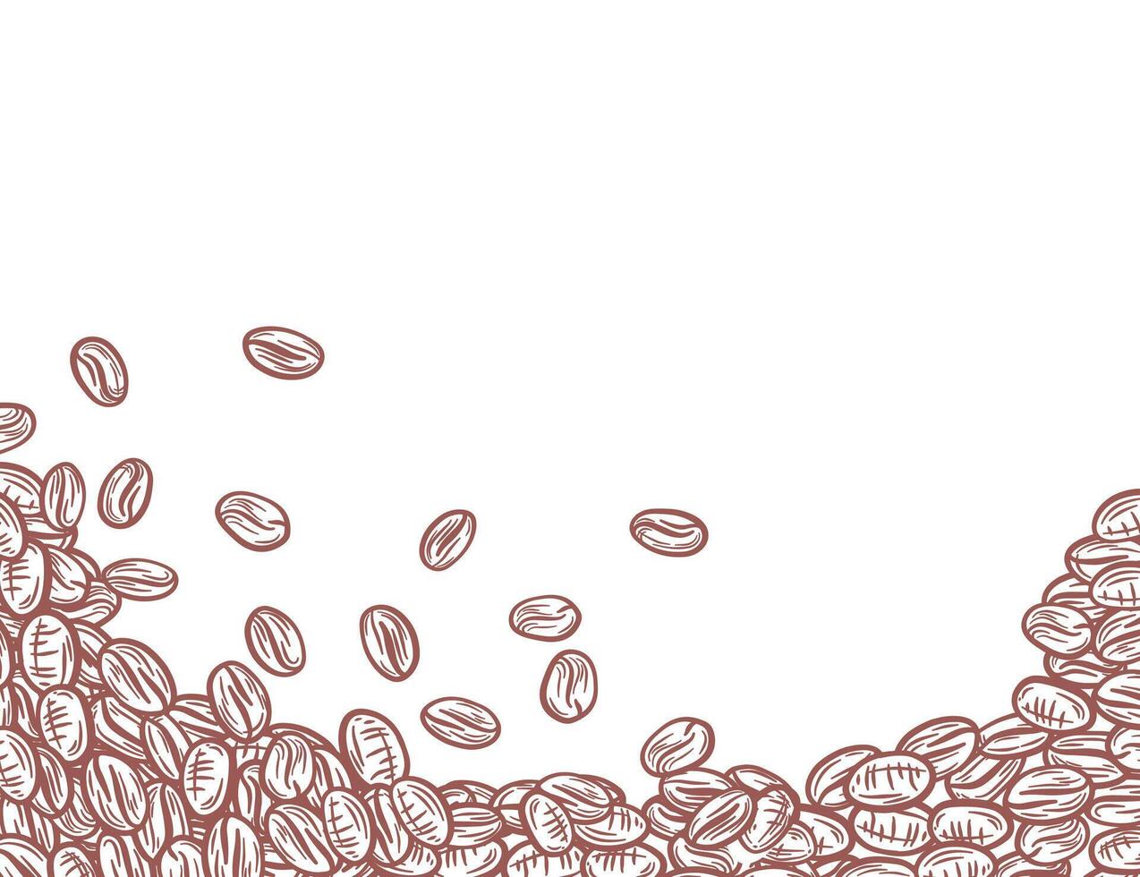 Coffee Beans background. Coffee beans in frame, border. Coffee beans isolated on a white background. Coffee beans wallpaper. vector