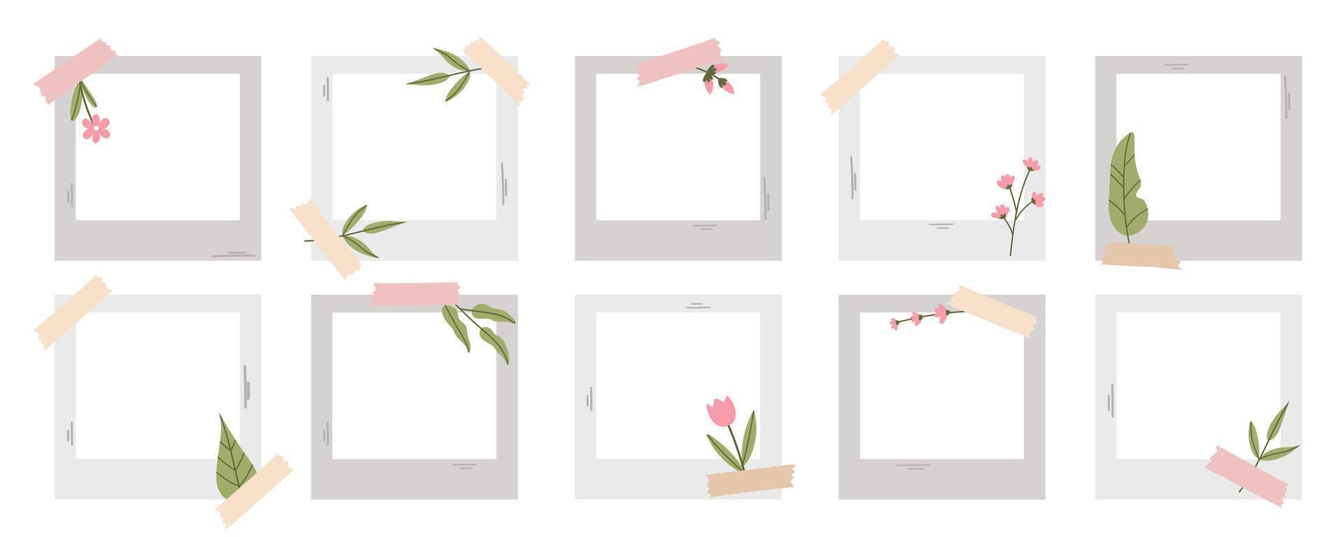 Photo frames. Summer photo frames set with herbs, leaves and flowers. Collection in flat style. vector