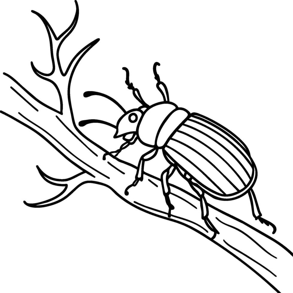 Beetle bug coloring pages. Beetle bug outline for coloring book. Insect line art. vector