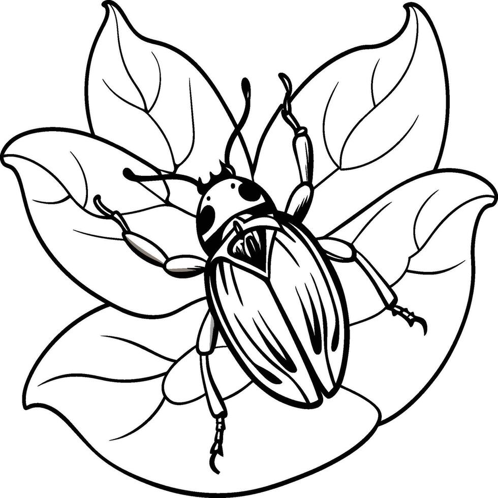 The beetle bug is an insect. A black and white coloring book. coloring pages for children. Insect coloring pages vector