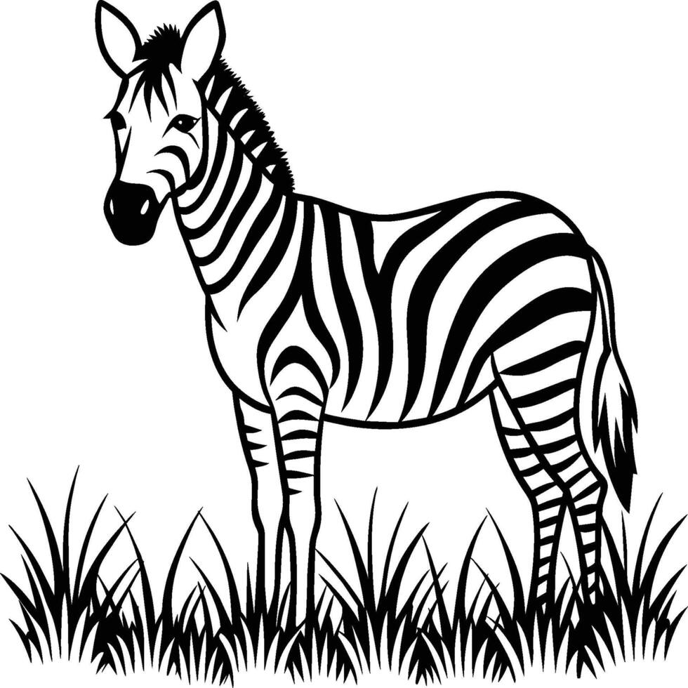 Zebra coloring pages. Zebra Animal outline. Animal line art vector