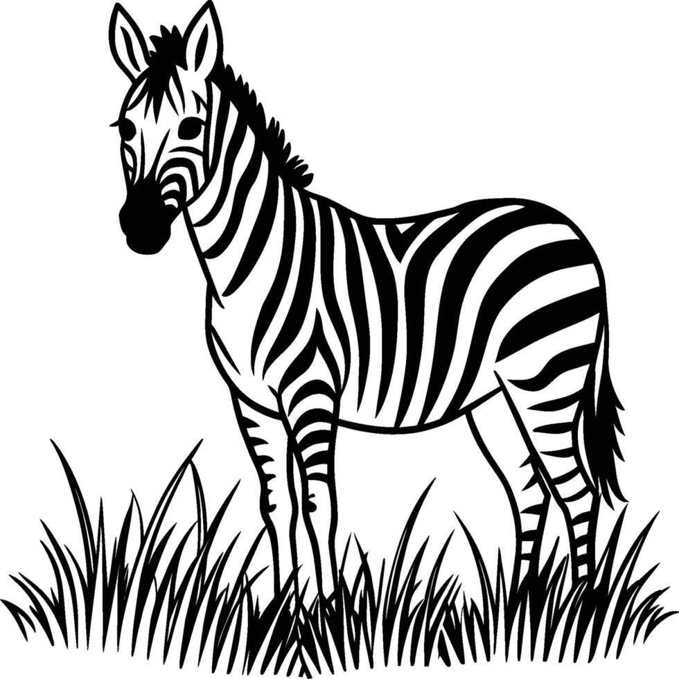 Zebra coloring pages. Zebra Animal outline. Animal line art vector