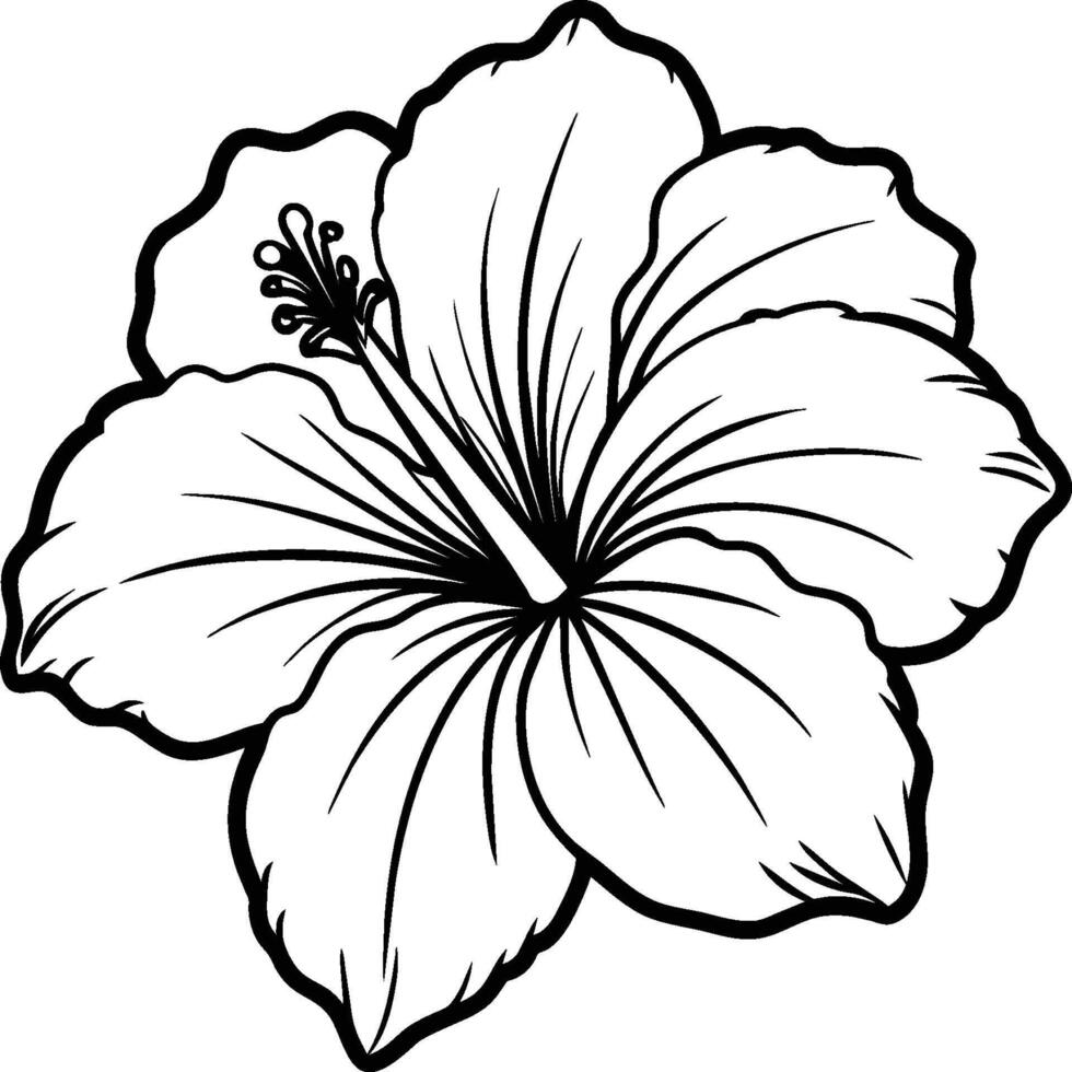 Hibiscus flower coloring pages. Flower line art vector