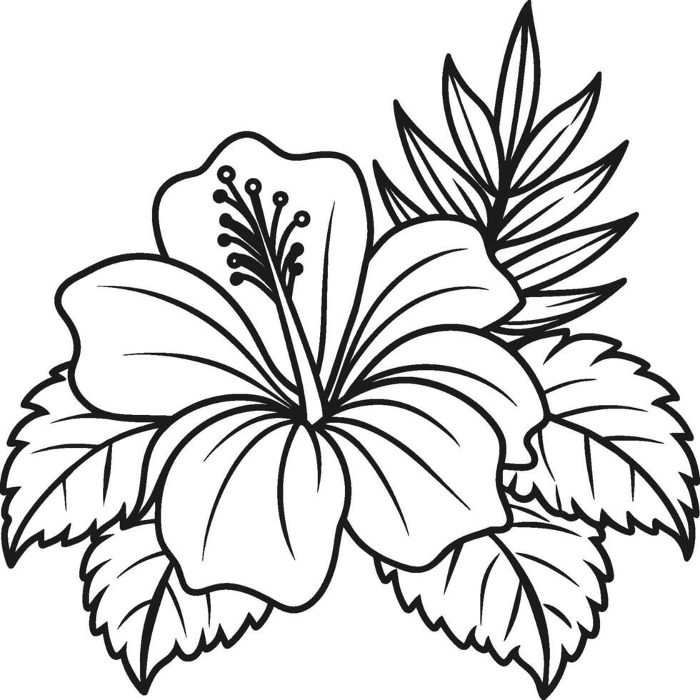 Hibiscus flower coloring pages. Flower line art vector