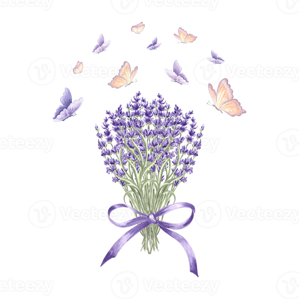 lavande et papillons. Provence floral bouquet violet avec arc. aquarelle illustration printemps fleurs. isolé main tiré à base de plantes. modèle pour carte, emballage ou vaisselle, textile, broderie. png