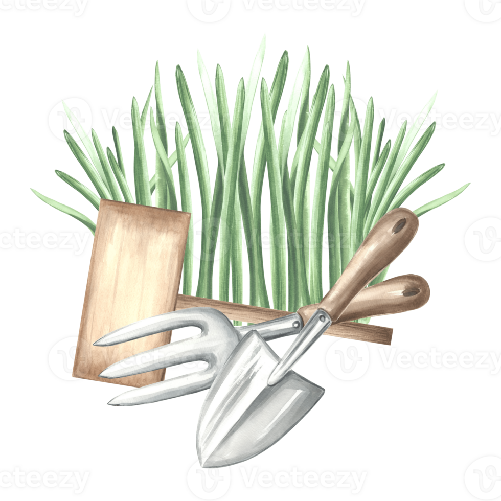 Greenery seedling with trowel, rake and sign. Gardening tools, supplies and grass. Hand drawn watercolor illustration, isolated composition. Equipment for growing. Template for package, sticker, print png