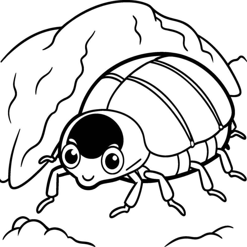 Beetle bug coloring pages. Beetle bug outline for coloring book. Insect line art. vector