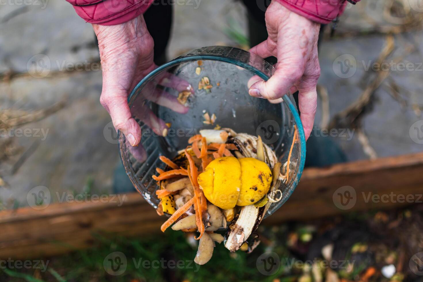 persona quien poner en un compostador algunos cocina residuos me gusta verduras, frutas, cáscara de huevo, café jardines en orden a ordenar y hacer bio fertilizante foto