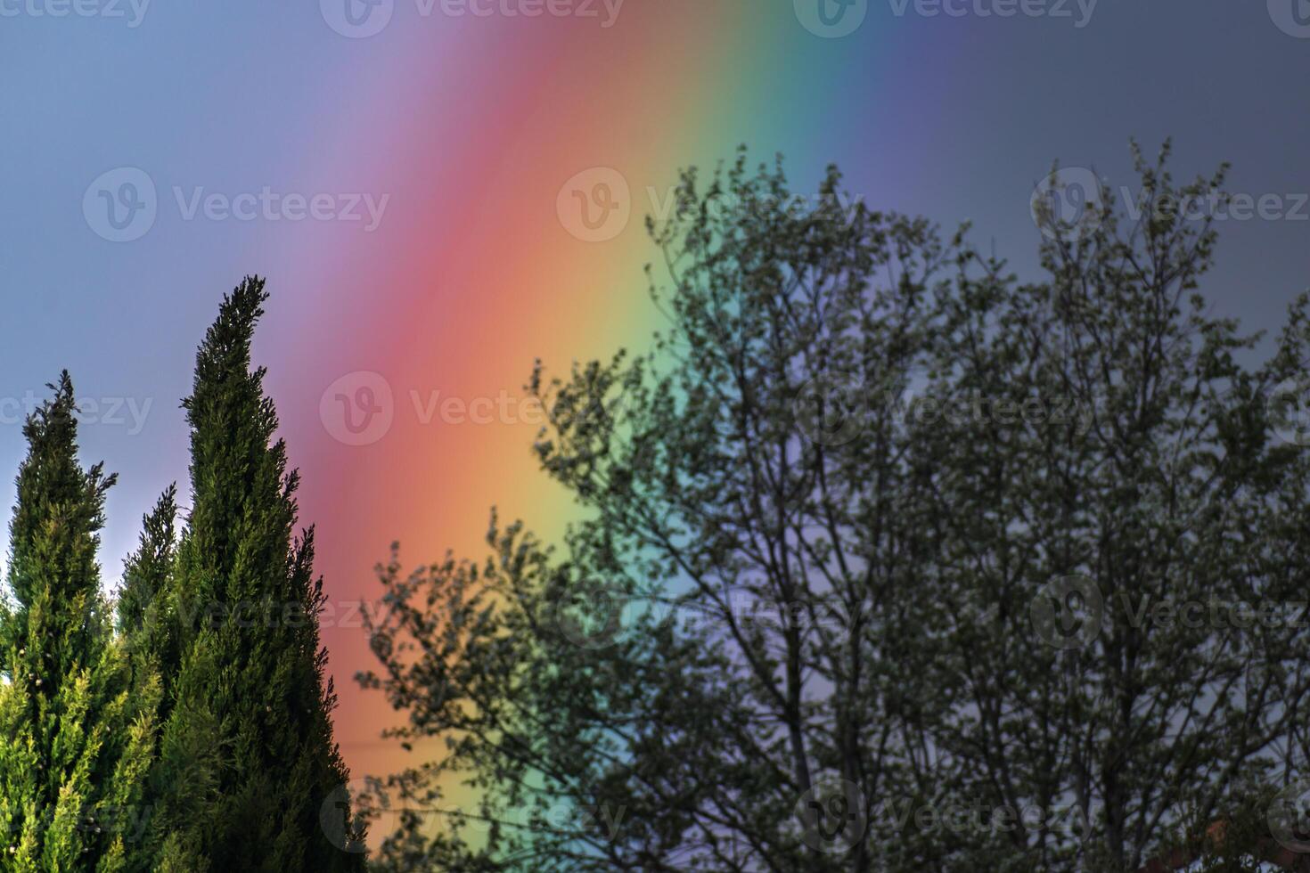 Rainbow on a spring day thanks to the rain and the sun photo