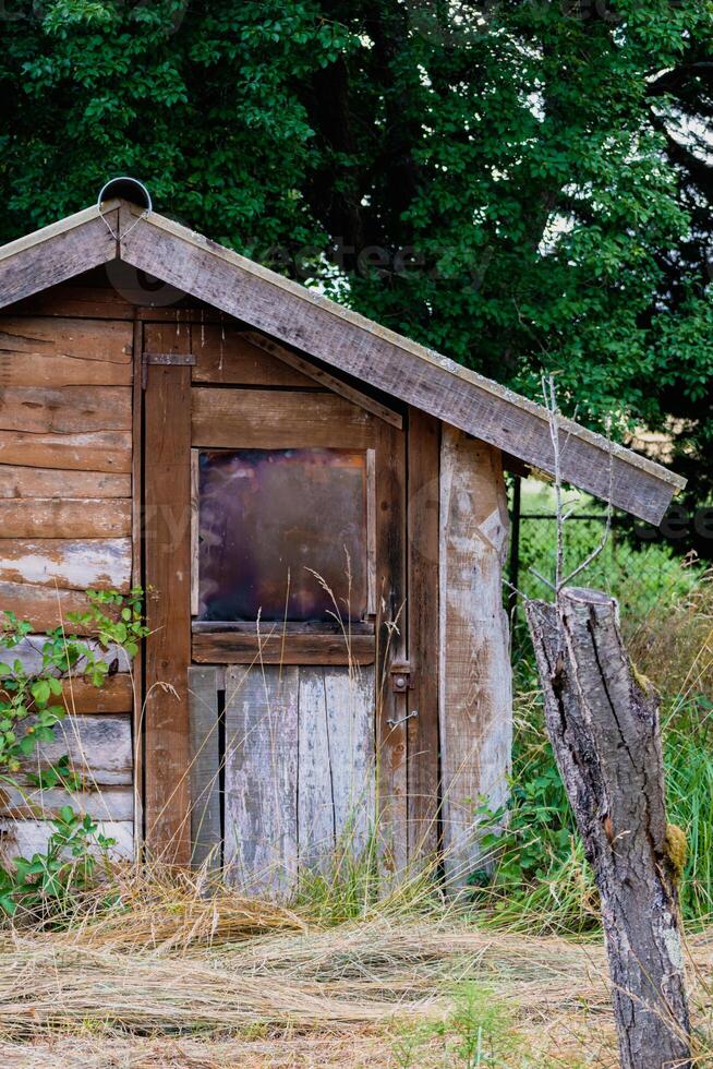 Pretty self-built wooden cabin in a wooded garden photo