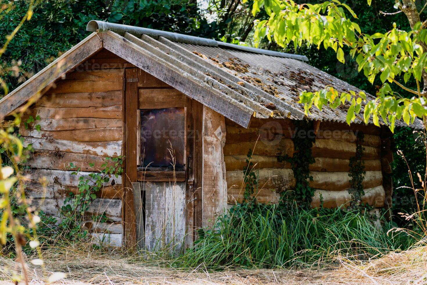 bonito autoconstruido de madera cabina en un enselvado jardín foto