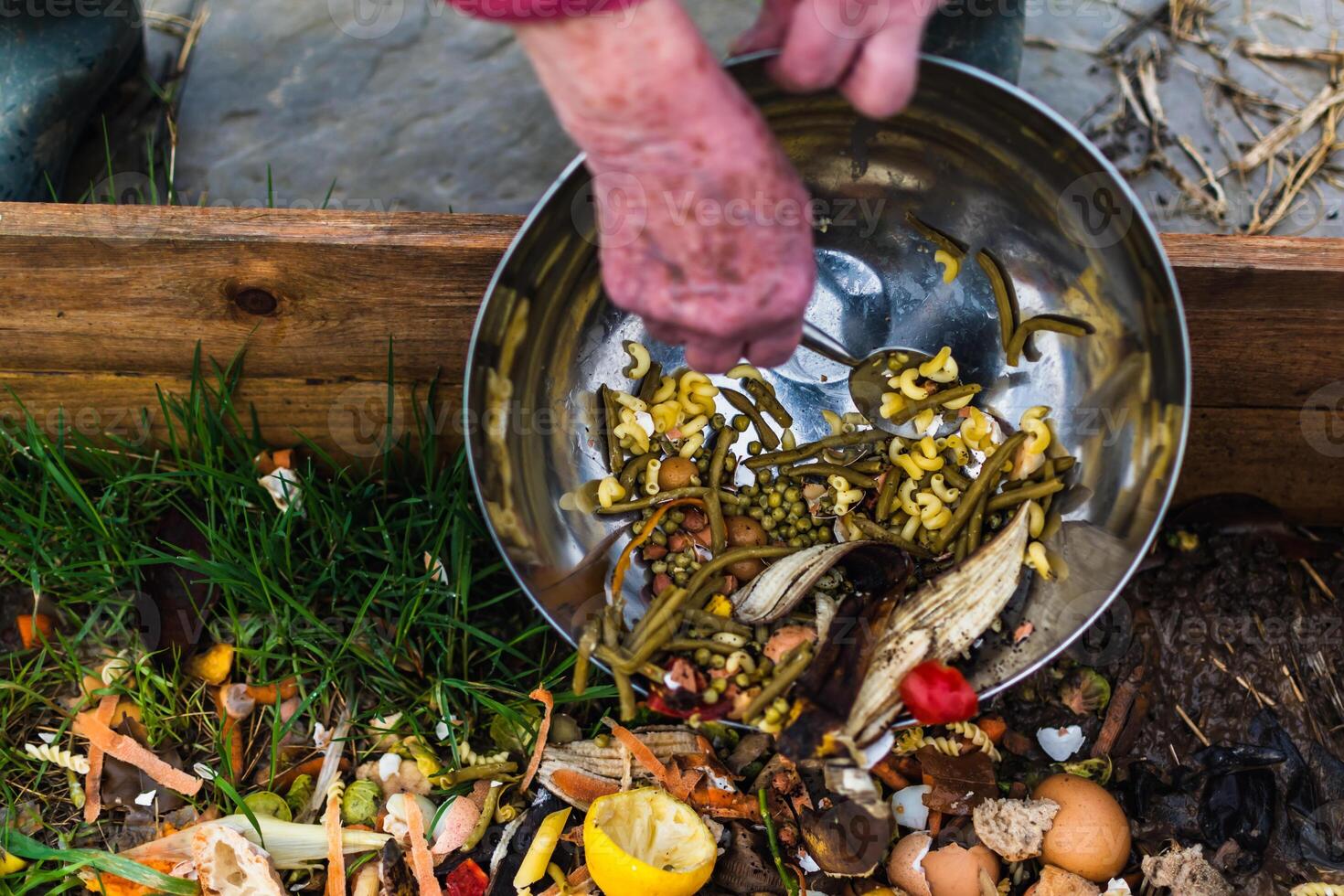 Person who put in a composter some kitchen waste like vegetables, fruits, eggshell, coffee grounds in order to sort and make bio fertilizer photo