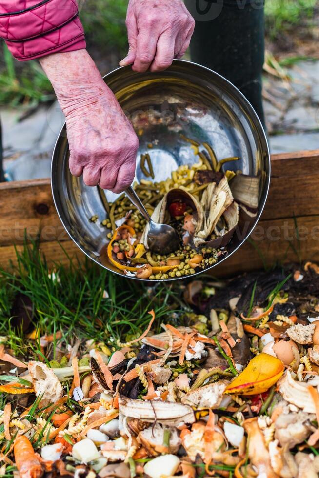 Person who put in a composter some kitchen waste like vegetables, fruits, eggshell, coffee grounds in order to sort and make bio fertilizer photo