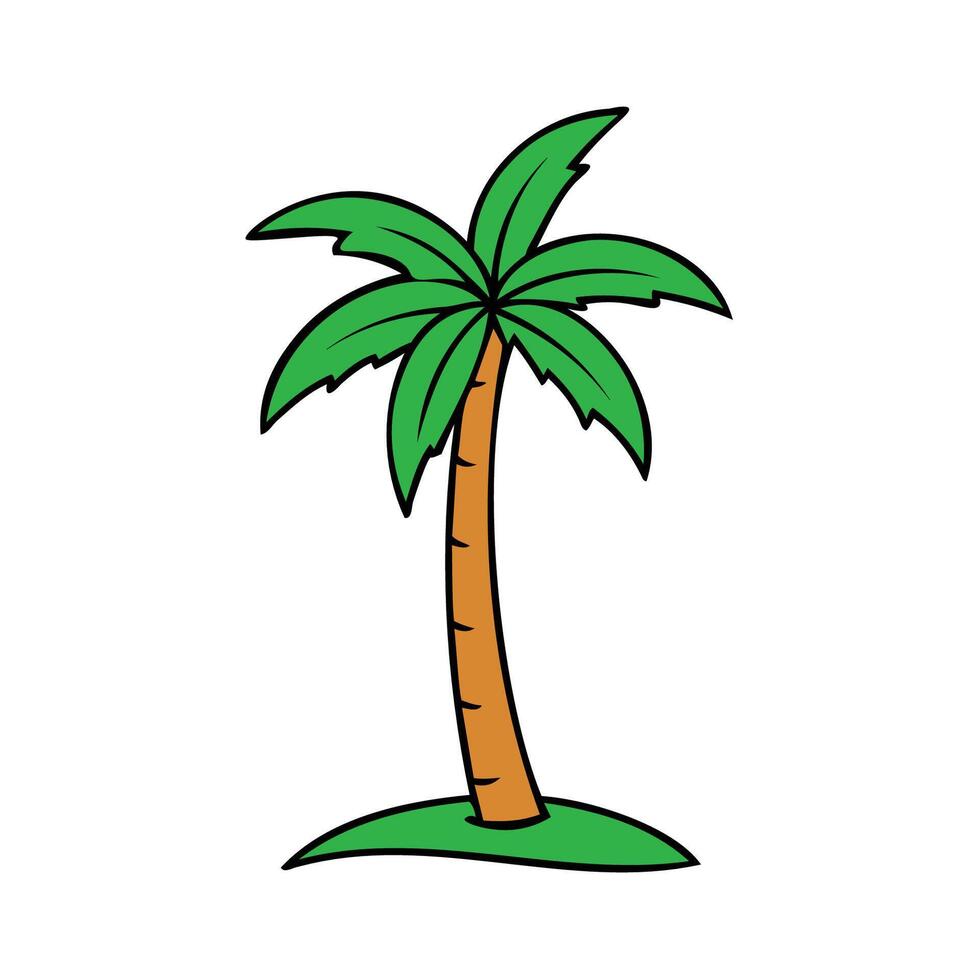 palm tree illustration vector