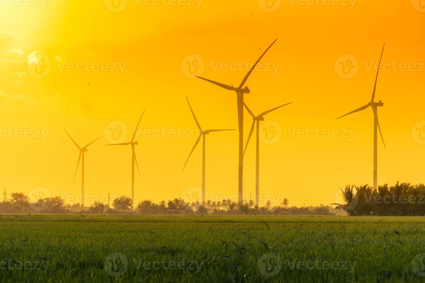 view of turbine green energy electricity, windmill for electric power production, Wind turbines generating electricity on rice field at Phan Rang, Ninh Thuan province, Vietnam photo