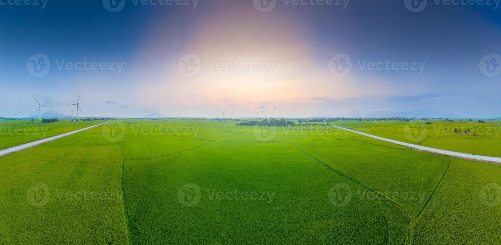 ver de turbina verde energía electricidad, molino para eléctrico poder producción, viento turbinas generando electricidad en arroz campo a phan sonó, ninh Thuan provincia, Vietnam foto