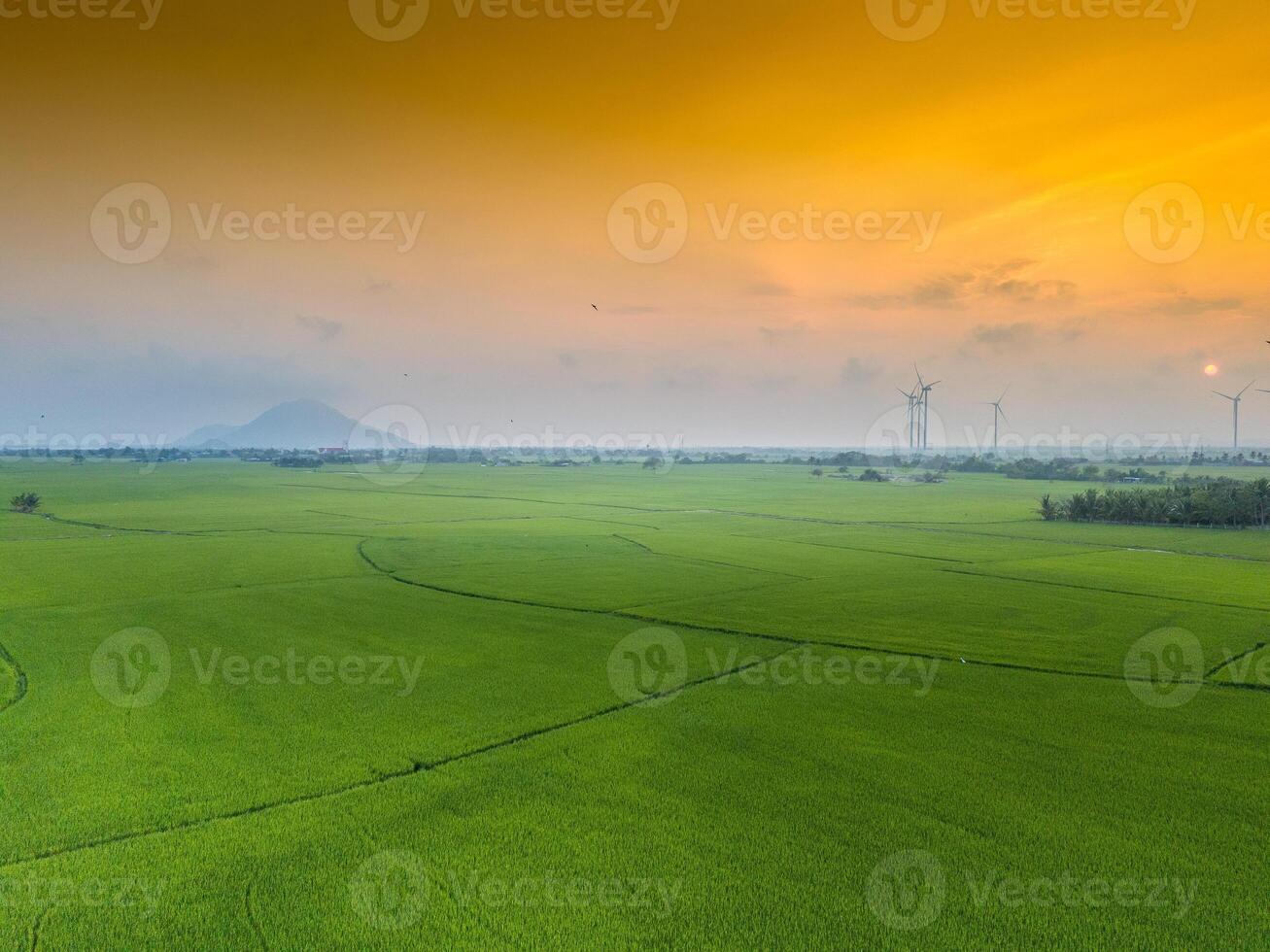 view of turbine green energy electricity, windmill for electric power production, Wind turbines generating electricity on rice field at Phan Rang, Ninh Thuan province, Vietnam photo