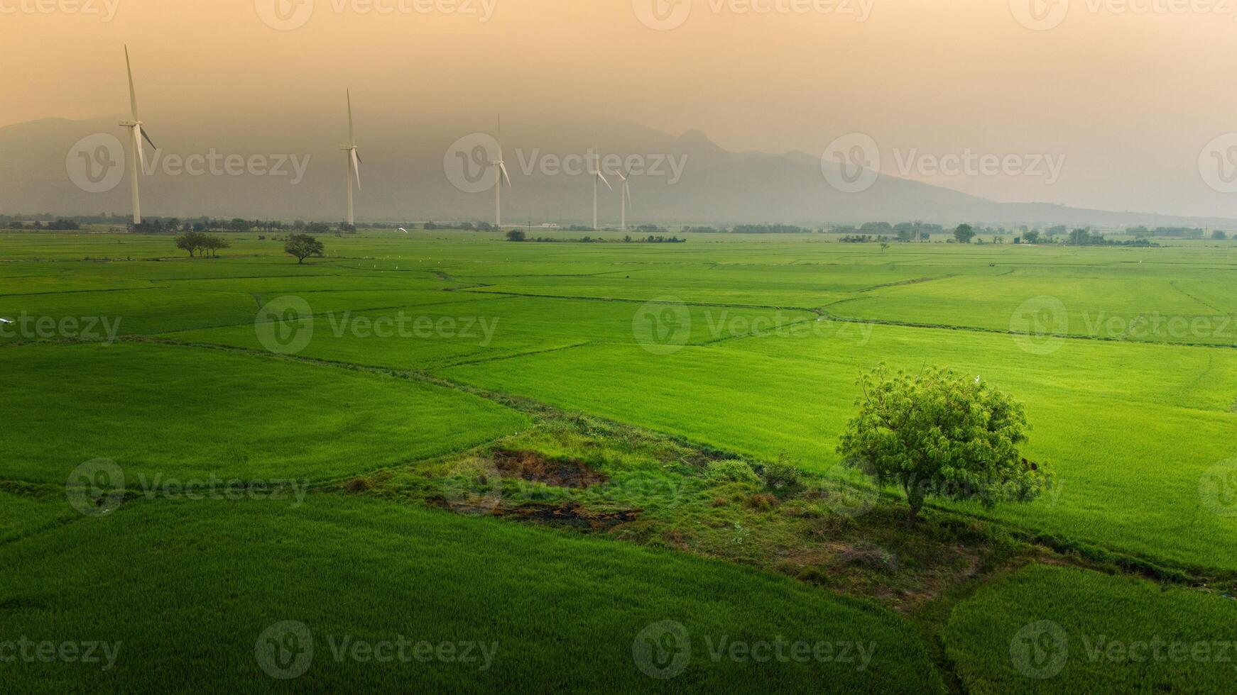 ver de turbina verde energía electricidad, molino para eléctrico poder producción, viento turbinas generando electricidad en arroz campo a phan sonó, ninh Thuan provincia, Vietnam foto