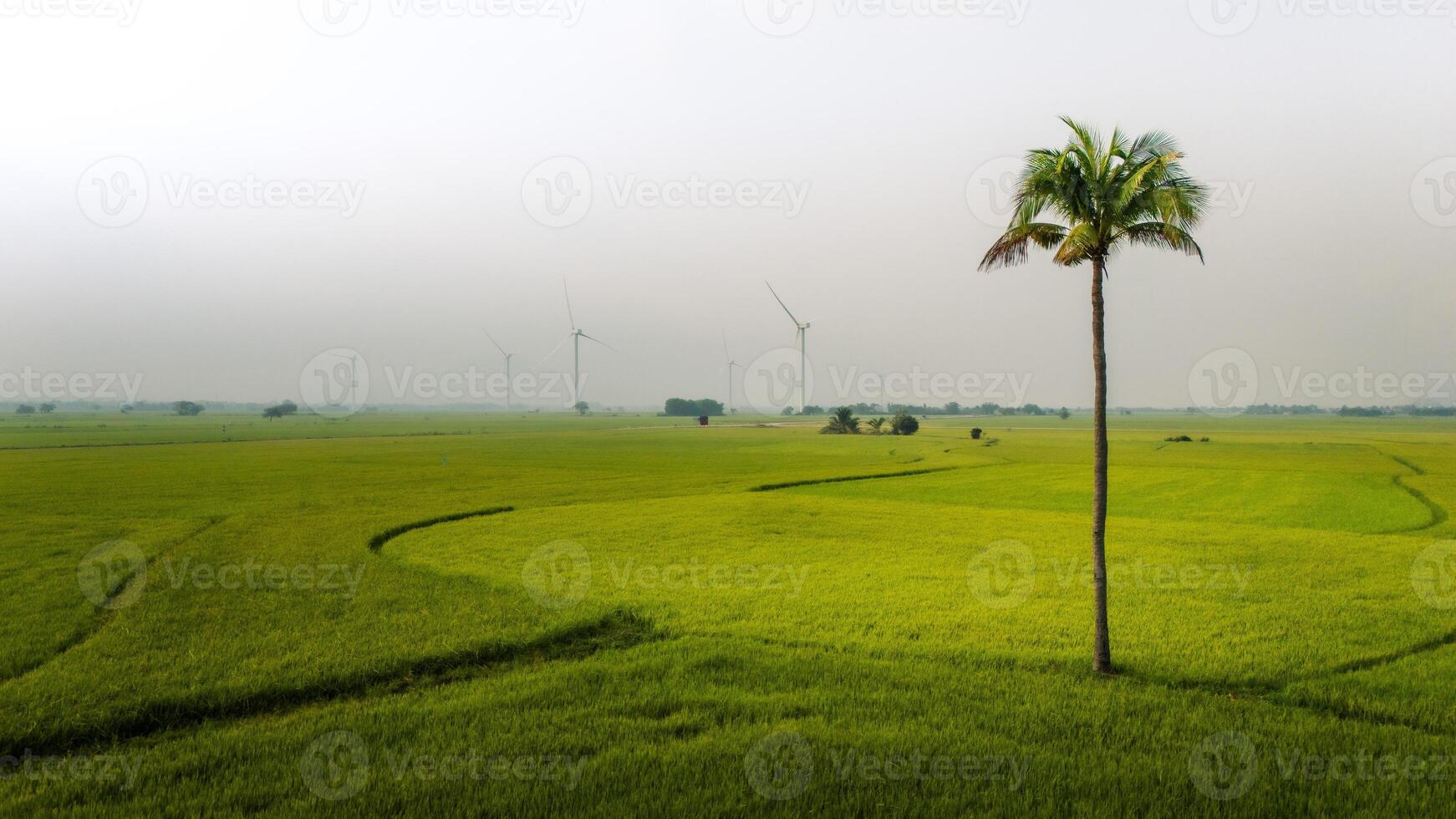 view of turbine green energy electricity, windmill for electric power production, Wind turbines generating electricity on rice field at Phan Rang, Ninh Thuan province, Vietnam photo