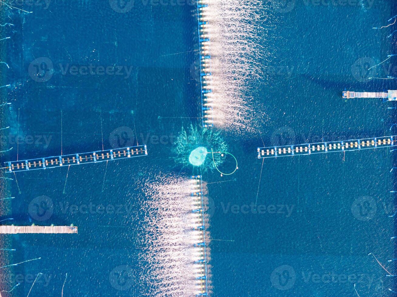 Aerial view of white shrimp, prawn, farm with aerator pump in O Loan lagoon , Phu Yen province, Vietnam photo