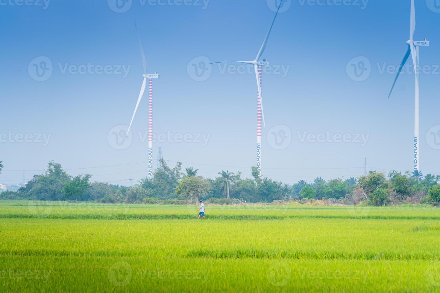 view of turbine green energy electricity, windmill for electric power production, Wind turbines generating electricity on rice field at Phan Rang, Ninh Thuan province, Vietnam photo