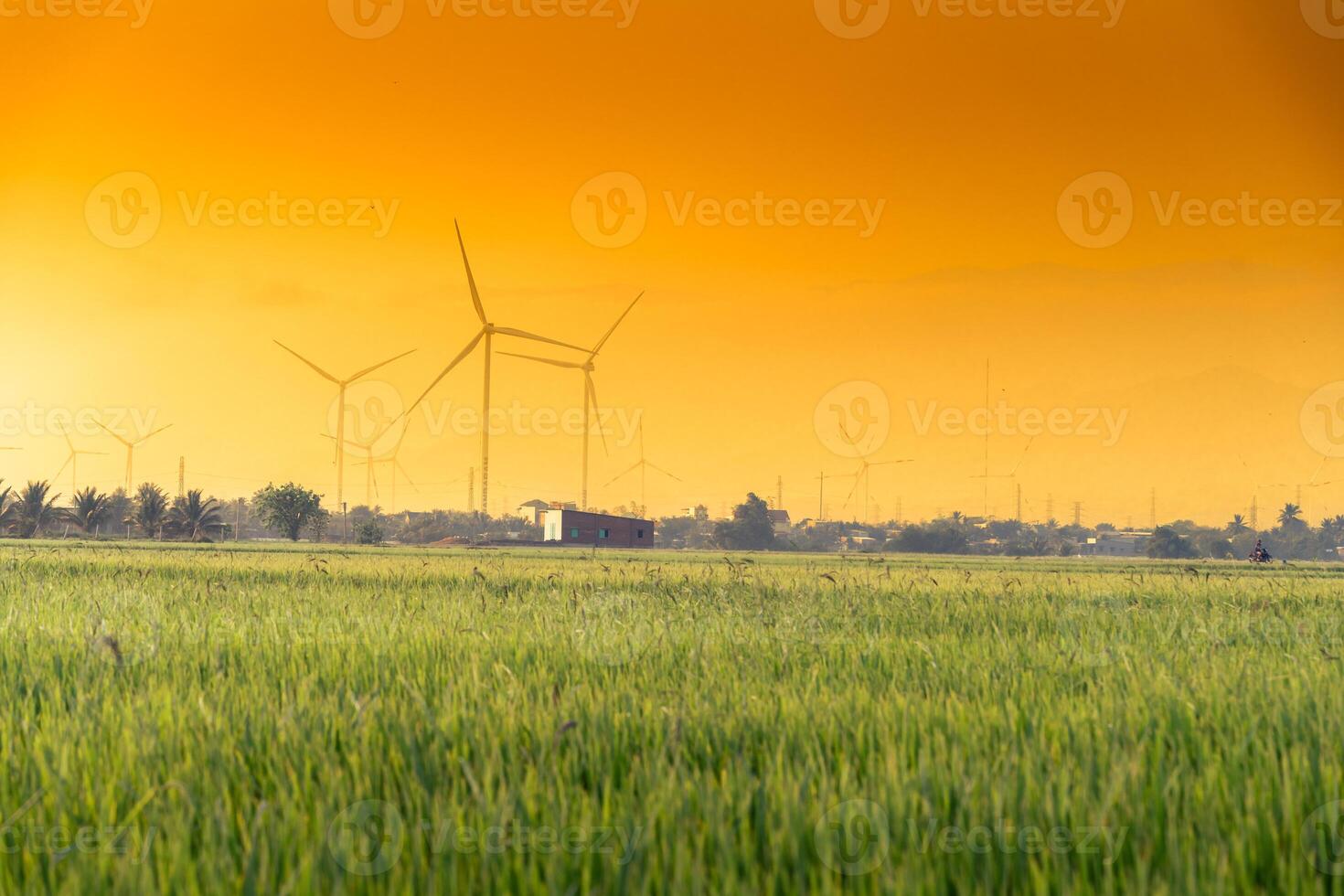view of turbine green energy electricity, windmill for electric power production, Wind turbines generating electricity on rice field at Phan Rang, Ninh Thuan province, Vietnam photo