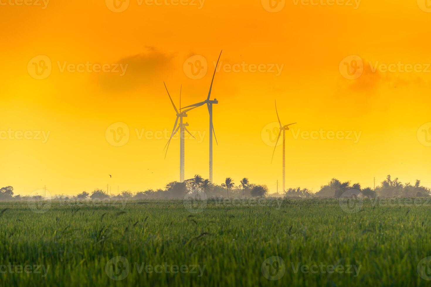 view of turbine green energy electricity, windmill for electric power production, Wind turbines generating electricity on rice field at Phan Rang, Ninh Thuan province, Vietnam photo