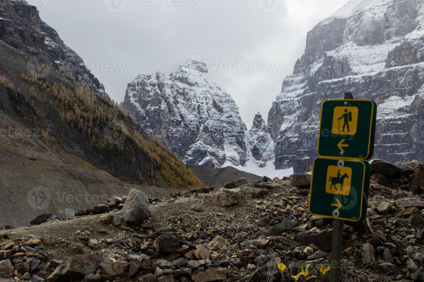 Trail sign that marks two paths, one path for hikers and another for horses. photo