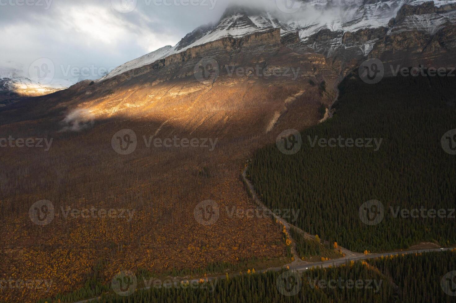 Aerial view of a mountain full of burned trees. photo