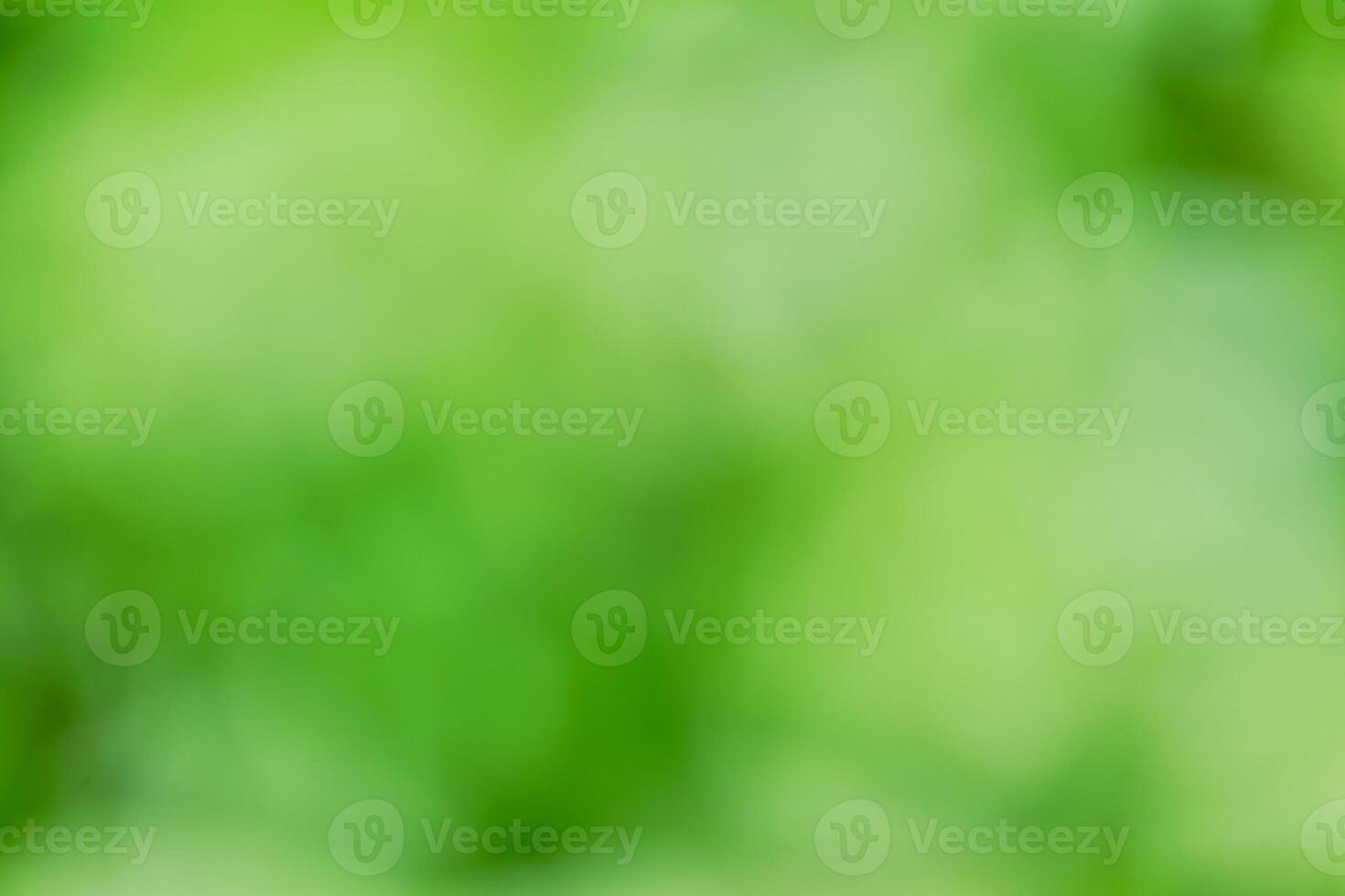 Green and white background using a plant with white flowers photo