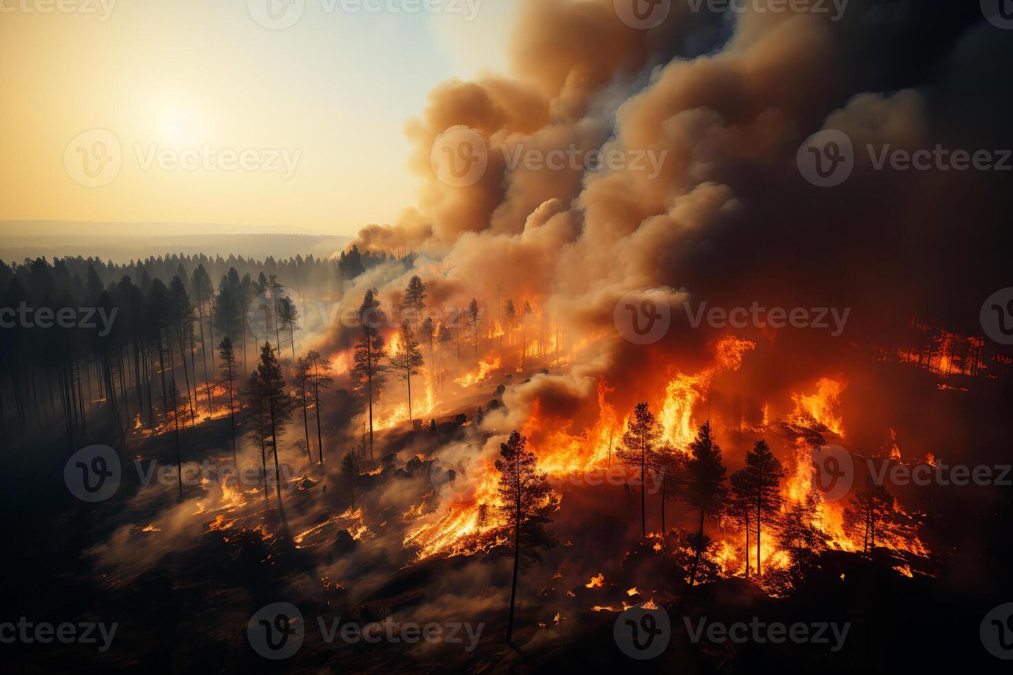 grande bosque fuego. fuerte fuego con fumar foto