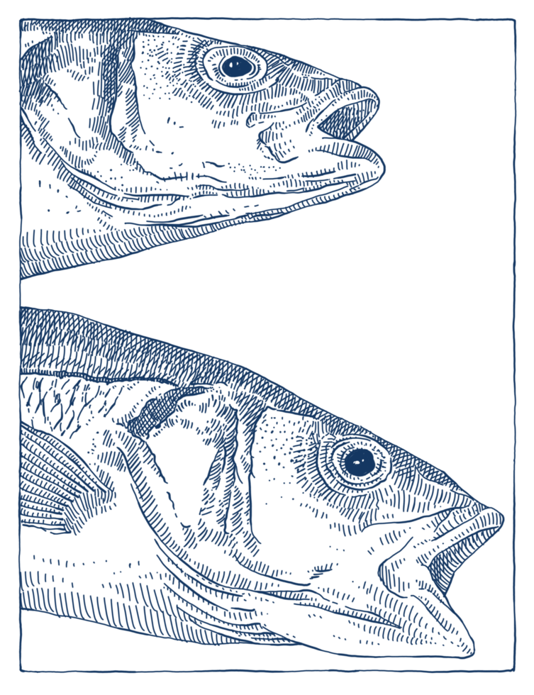 Fish images are suitable to add to your poster design png