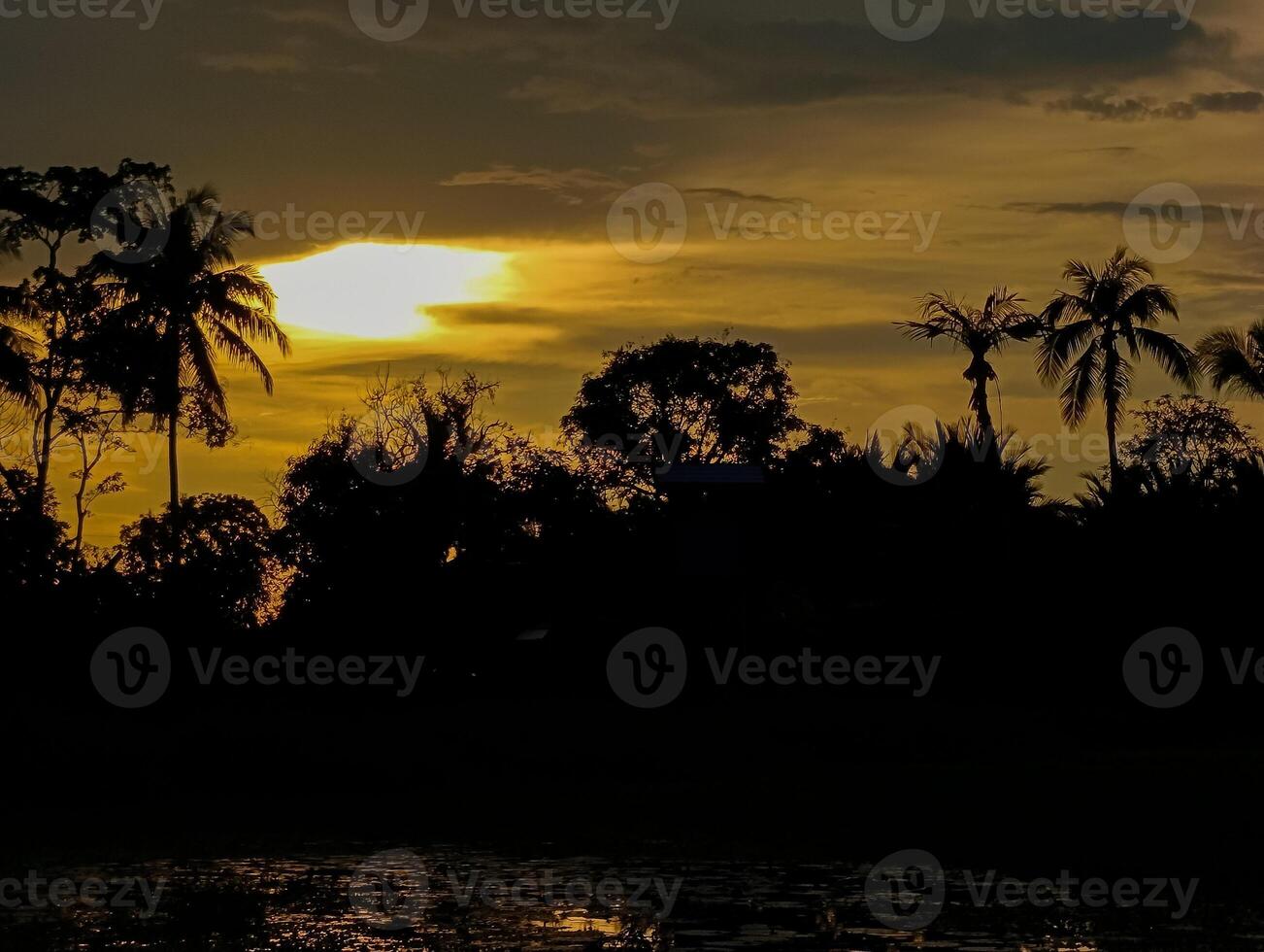 Beautiful sunset in a swampy area photo
