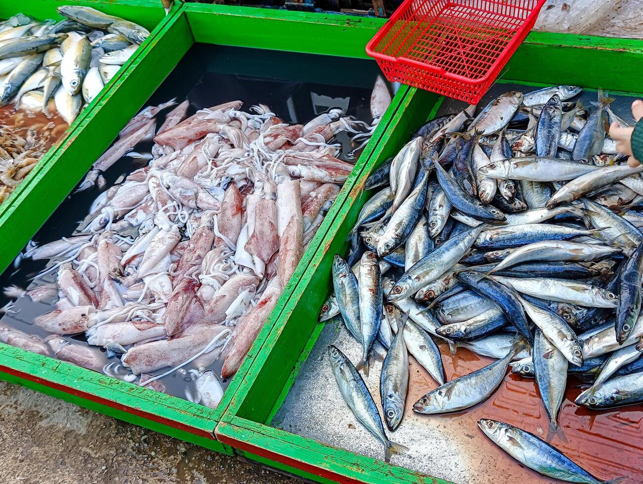 ventas de pindang pez, calamar y camarón foto